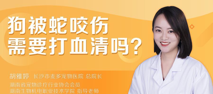文章详情图片