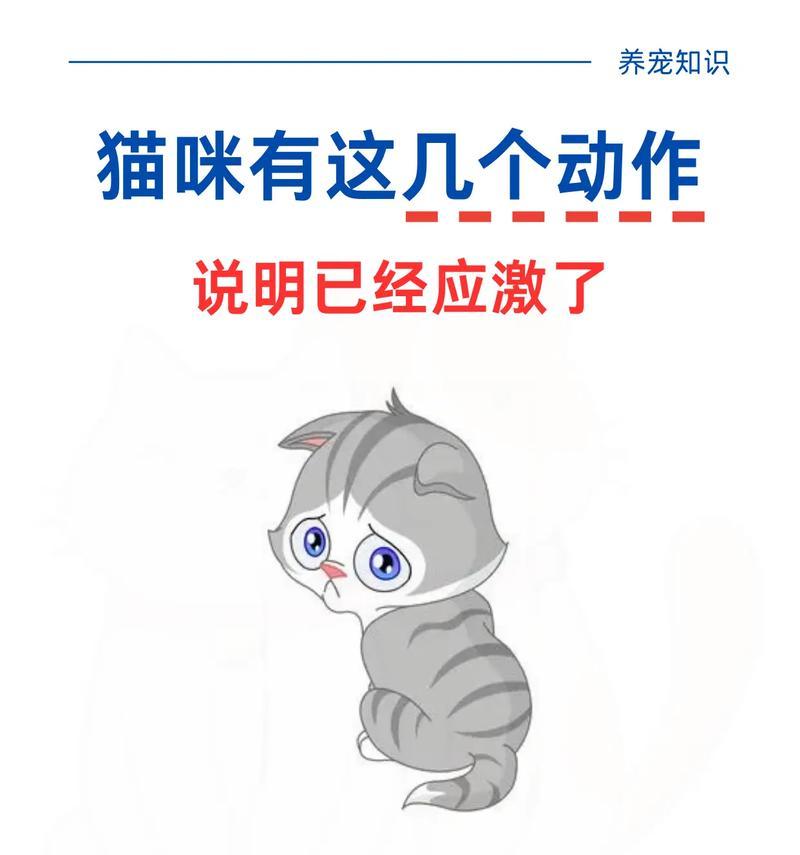 文章详情图片