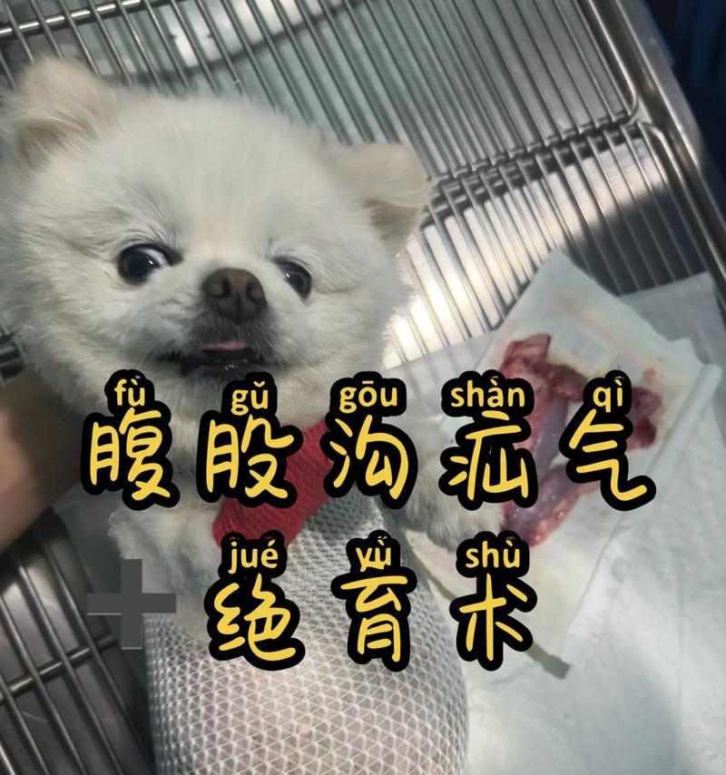 文章详情图片