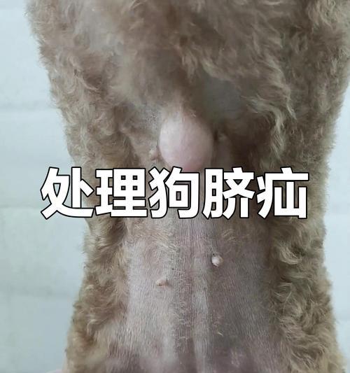 文章详情图片