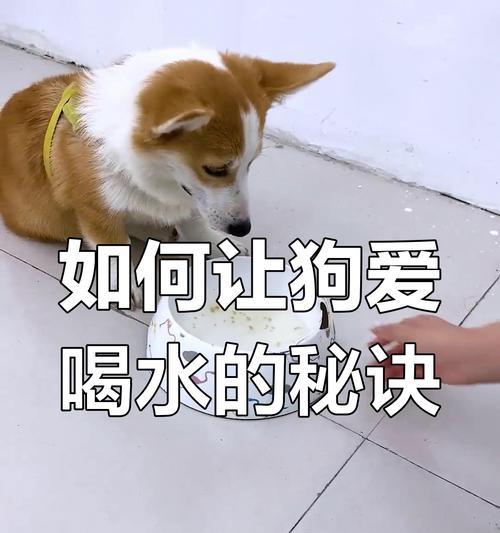 文章详情图片