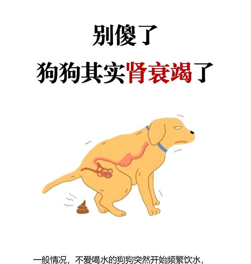 文章详情图片