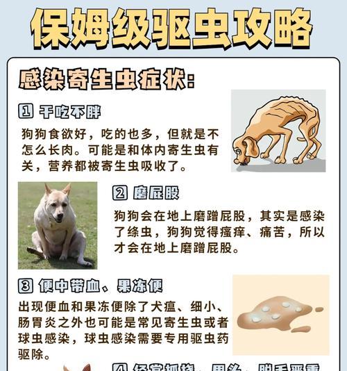 文章详情图片