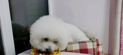 文章详情图片