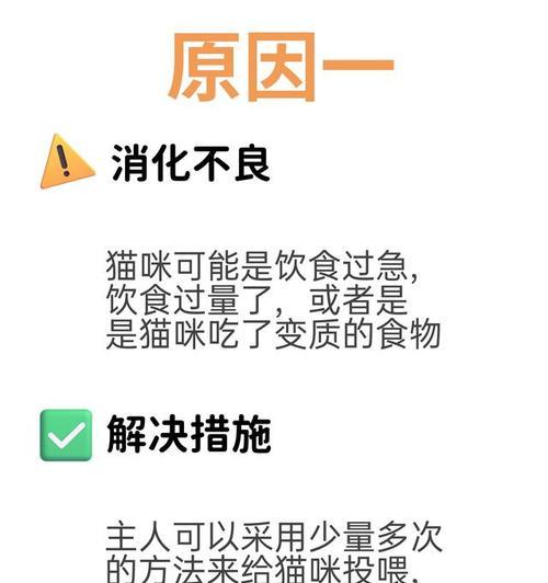 文章详情图片