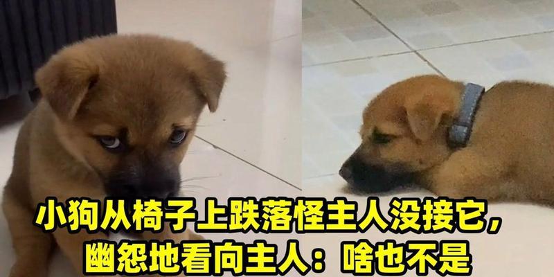 文章详情图片