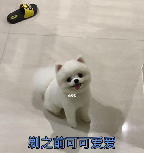 文章详情图片