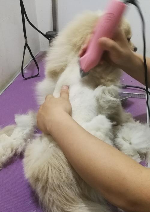 文章详情图片