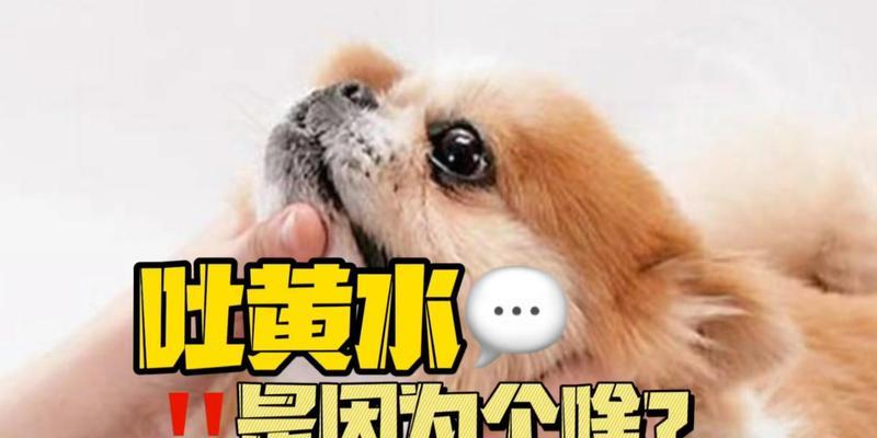 文章详情图片