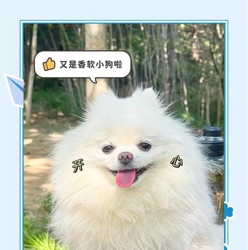 文章详情图片
