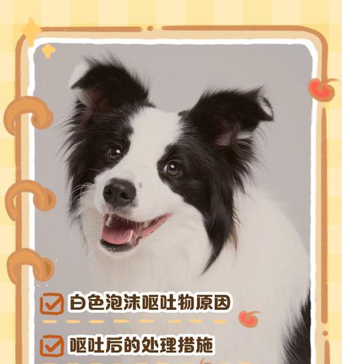 文章详情图片