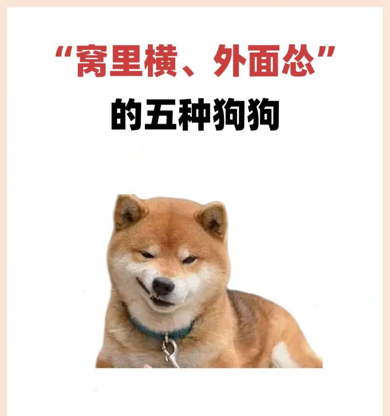 文章详情图片
