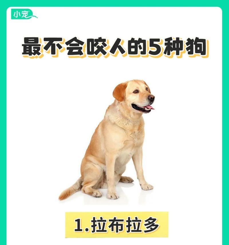 文章详情图片
