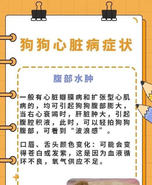 文章详情图片