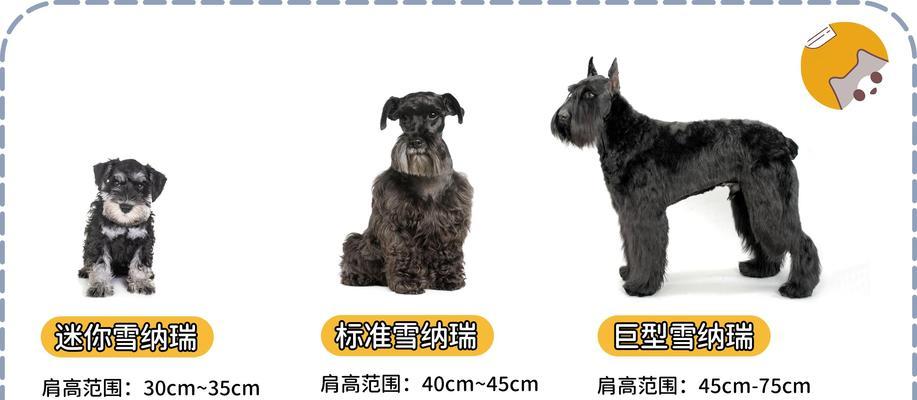 文章详情图片