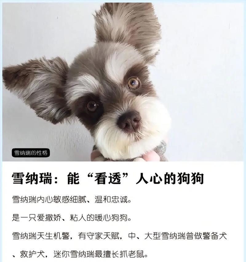 文章详情图片