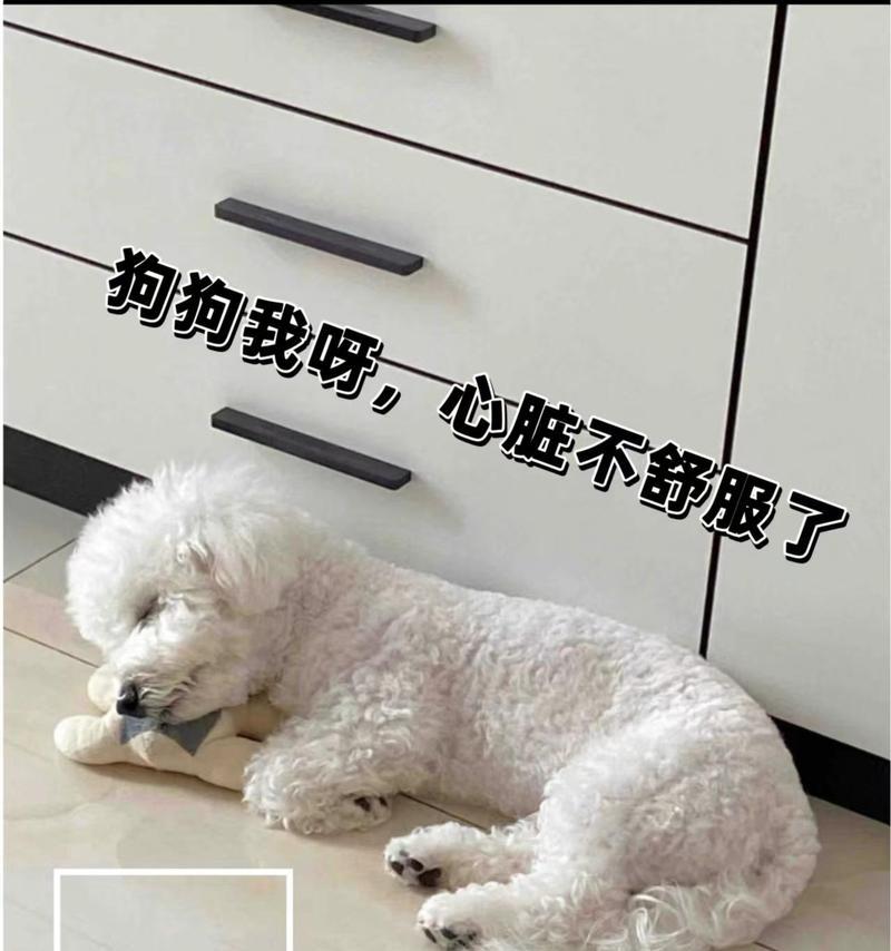 文章详情图片