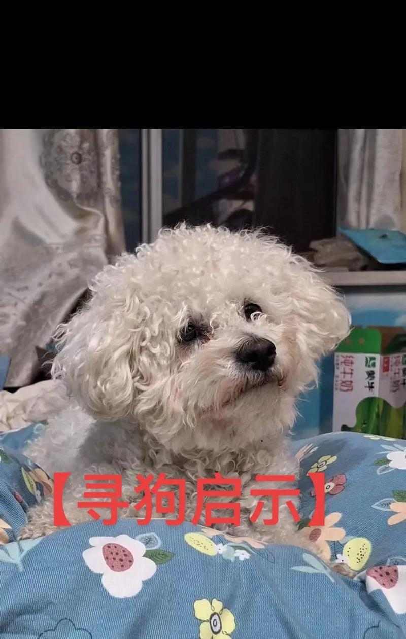 文章详情图片
