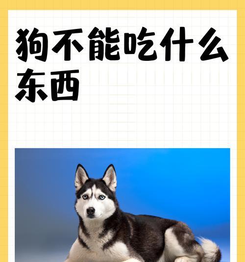 文章详情图片