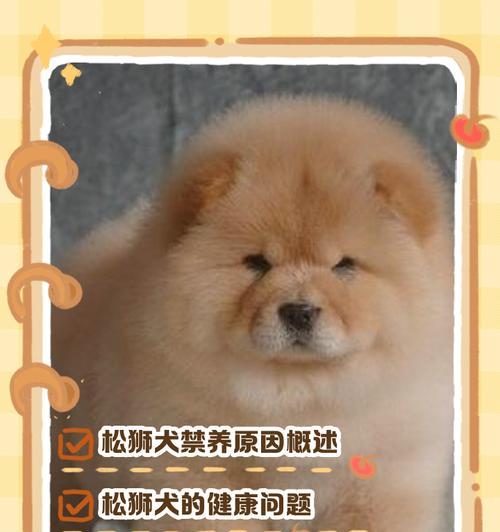 文章详情图片