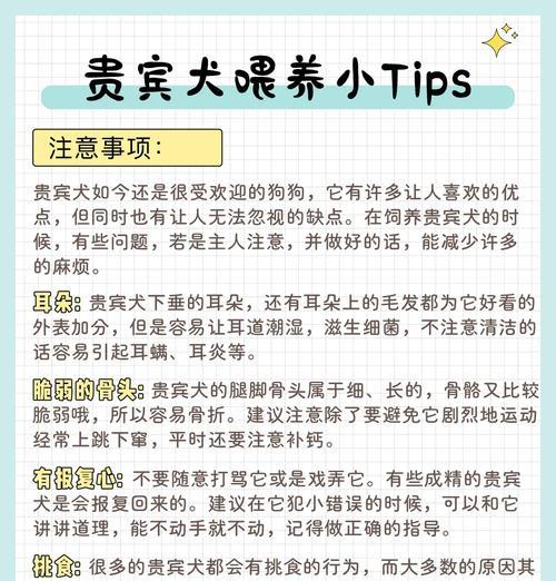 贵宾狗会在多久之后忘记主人？（探索狗狗记忆的时间范围及影响因素）