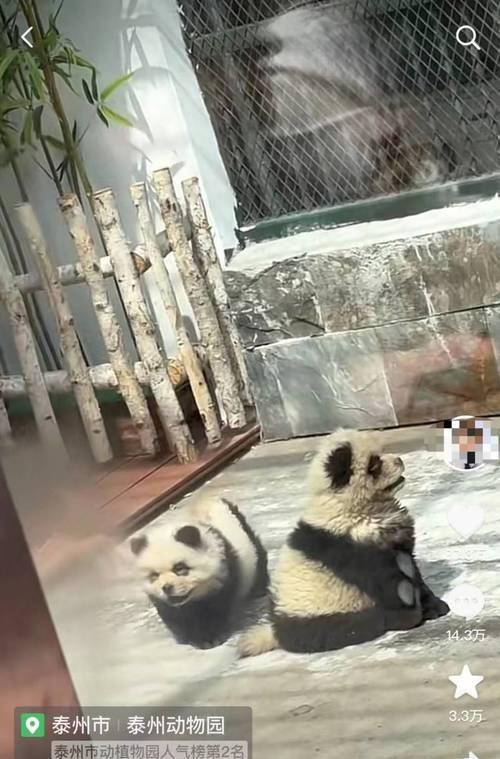 文章详情图片
