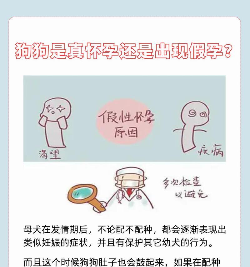 文章详情图片