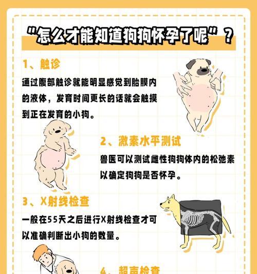 文章详情图片