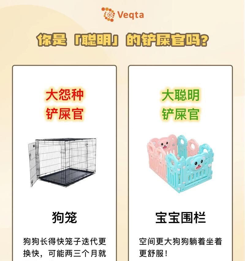 文章详情图片