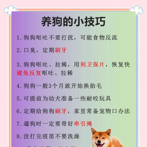 文章详情图片