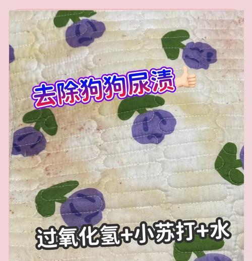 文章详情图片