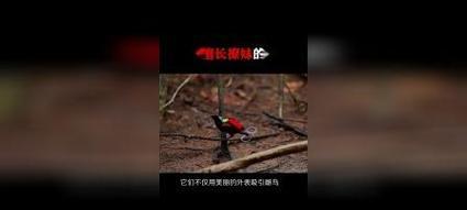 文章详情图片