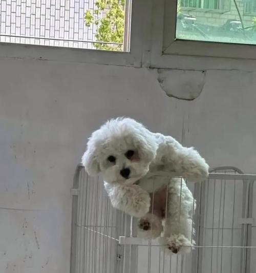 文章详情图片