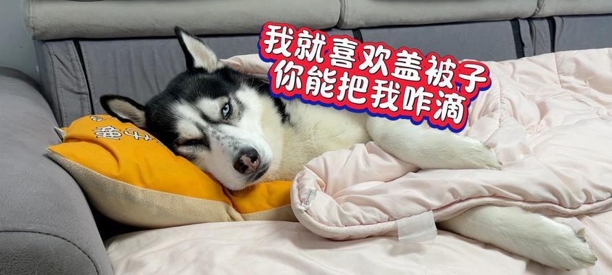文章详情图片