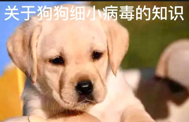 文章详情图片