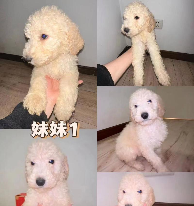 文章详情图片