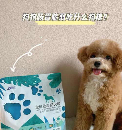 文章详情图片