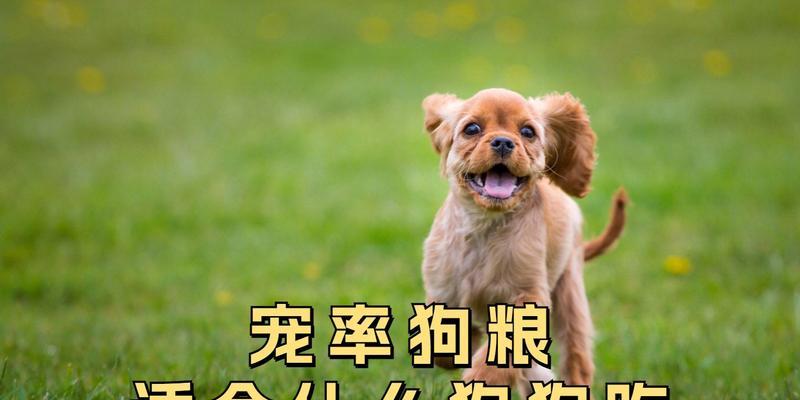 文章详情图片