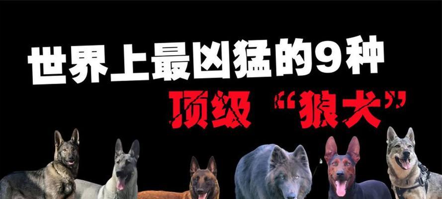 文章详情图片