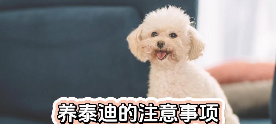 文章详情图片