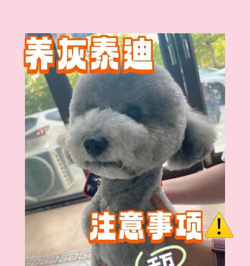 文章详情图片