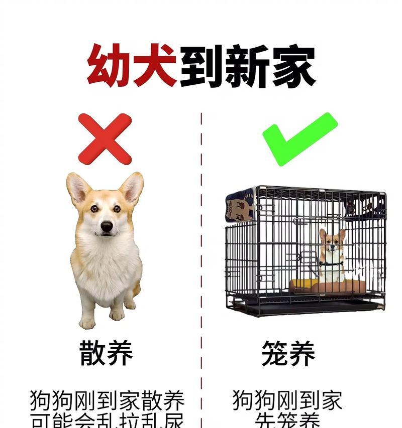 文章详情图片