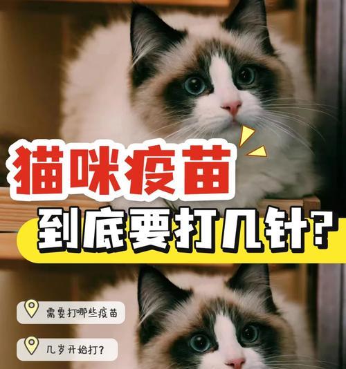 文章详情图片