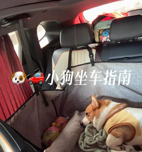 文章详情图片