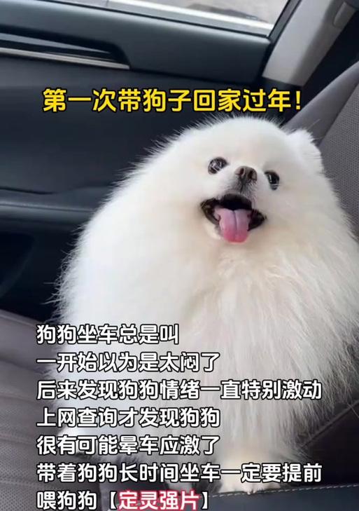 文章详情图片