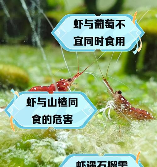 文章详情图片