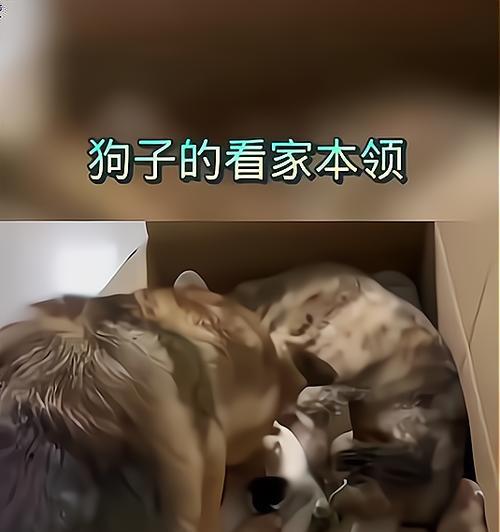 文章详情图片