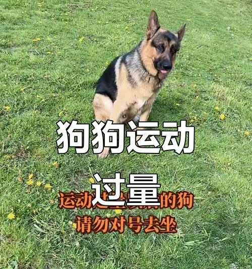 文章详情图片