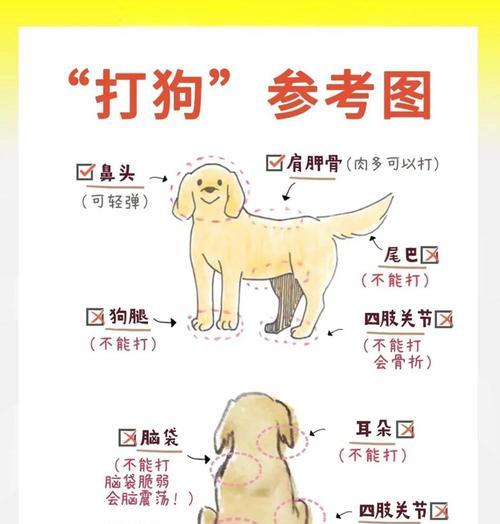 文章详情图片