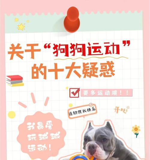文章详情图片